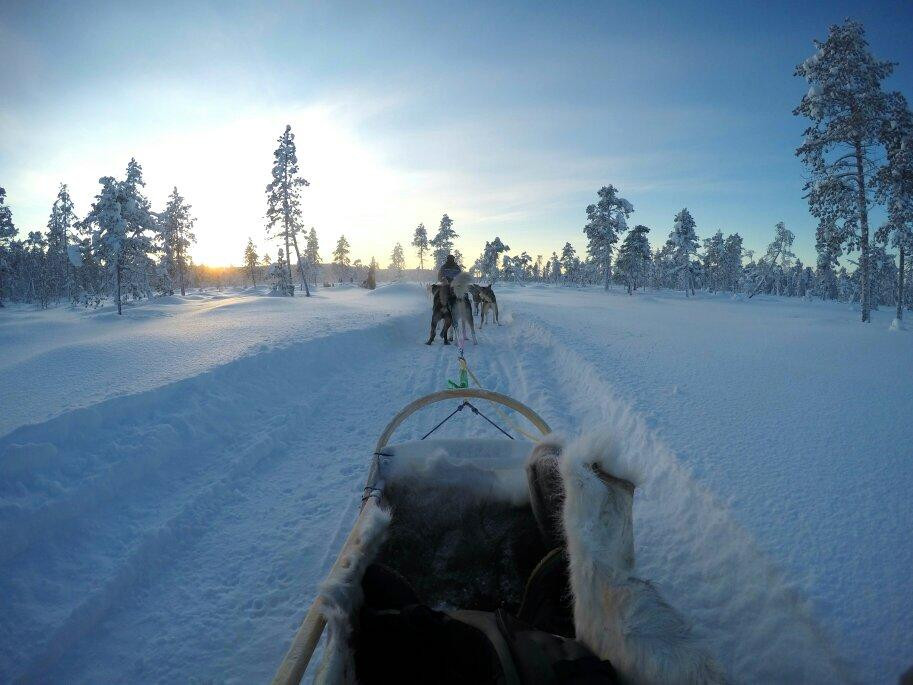 Jytky Hysky Sled Dog Camp-伊纳里必去景点