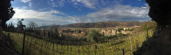 Castello di Tregnago景点图片