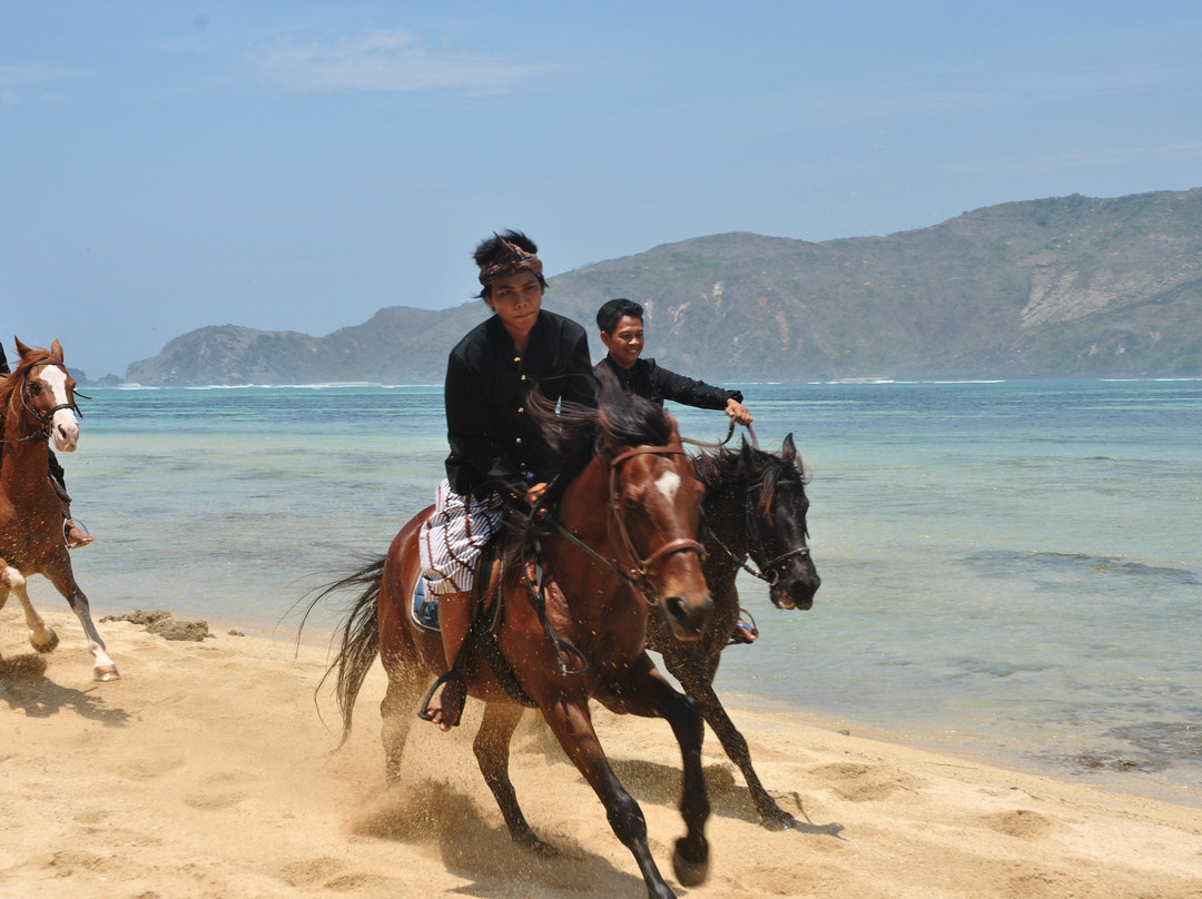 Kuta Horses-Kuta必去景点
