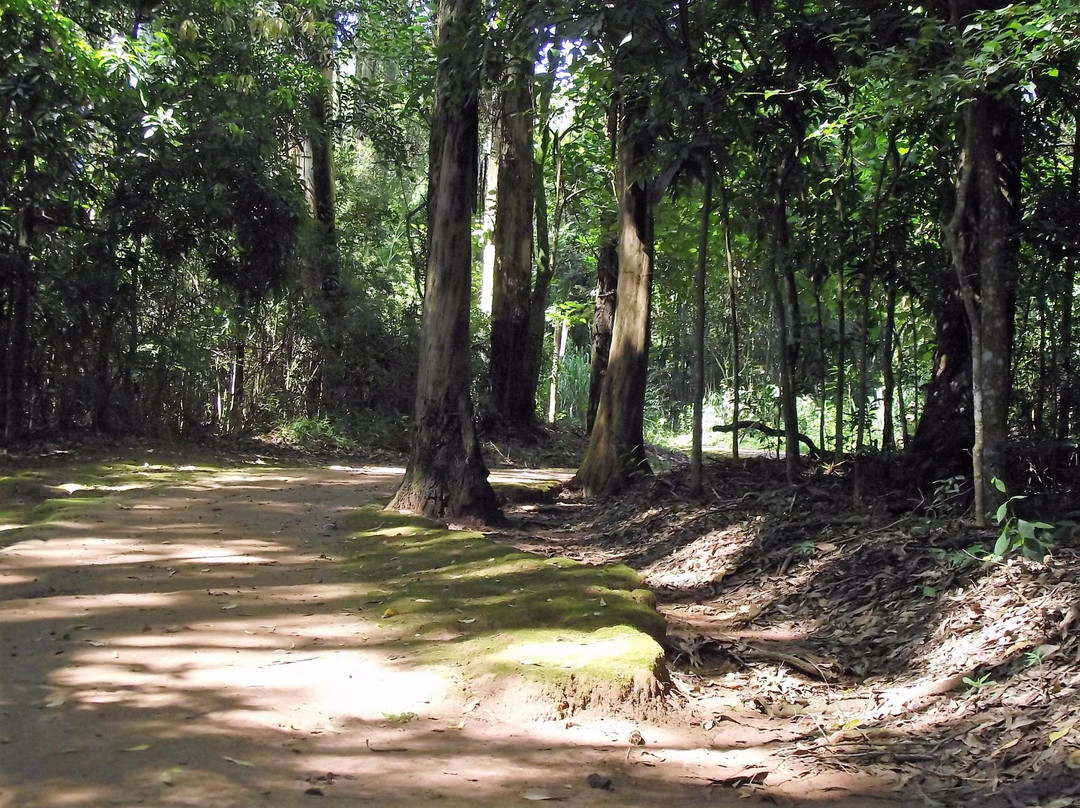 Pista da Saude-Sao Carlos必去景点