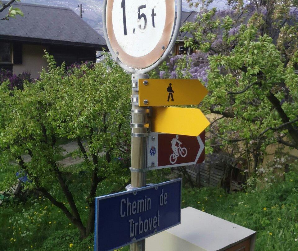 Chambres D'Hotes Les Cerisiers主图
