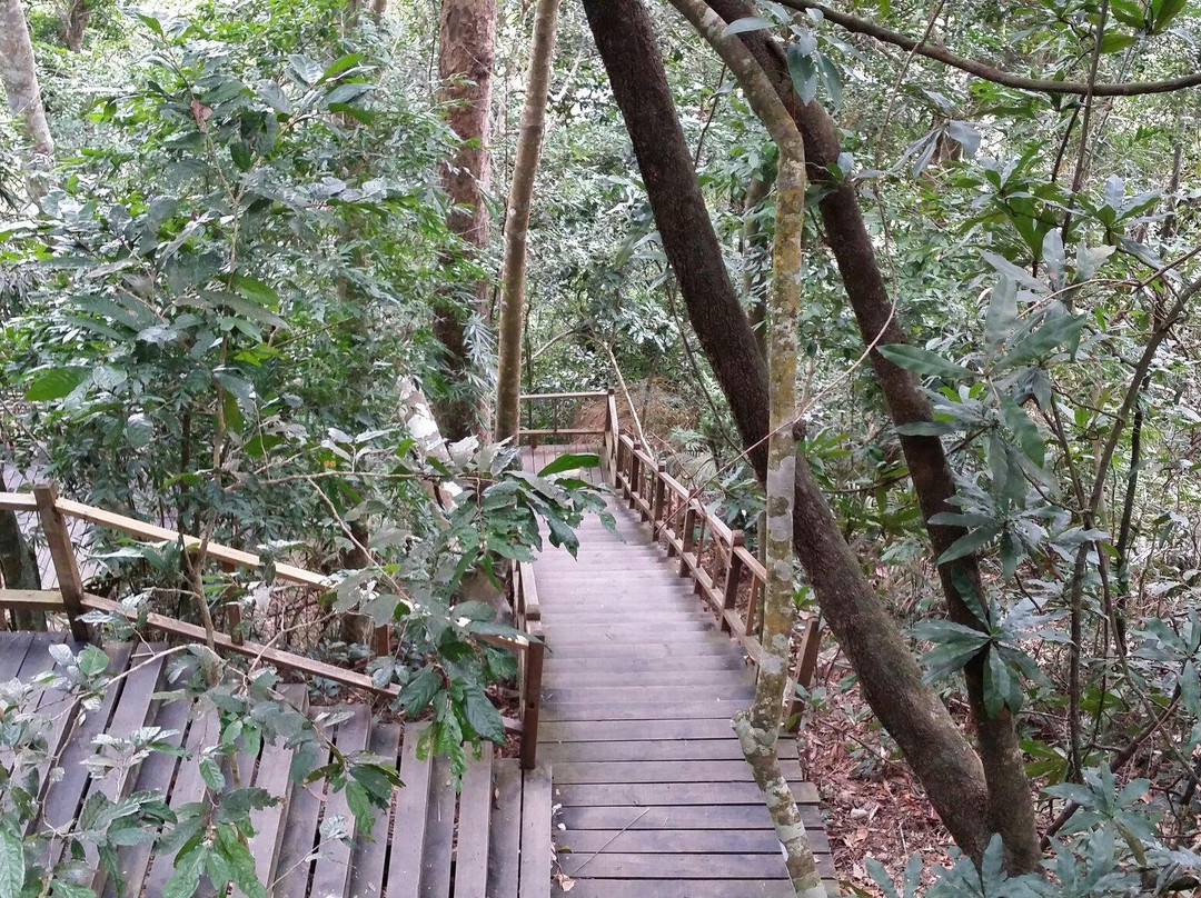 霸王岭-昌江黎族自治县必去景点