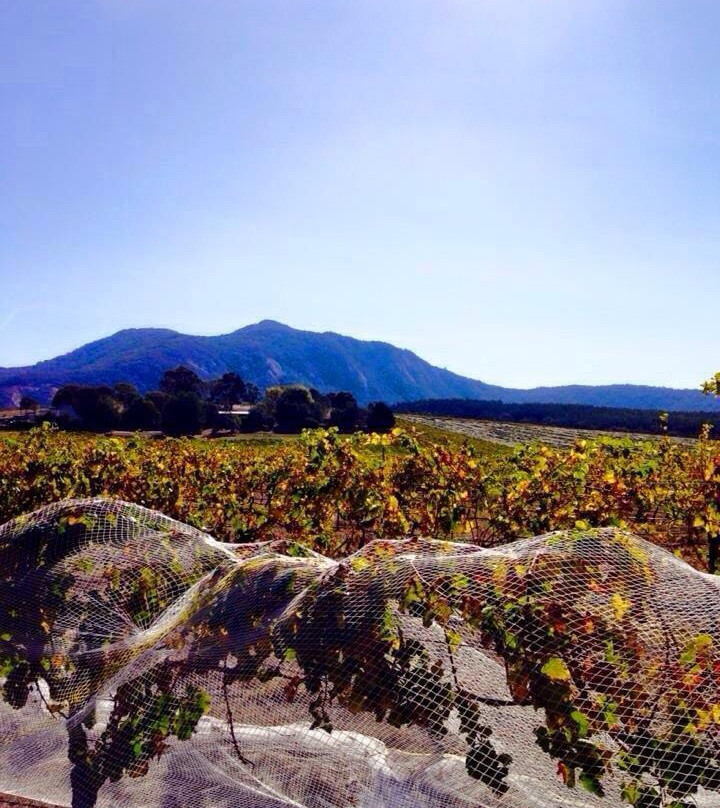 Tatyoon旅游景点-Mount Langi Ghiran
