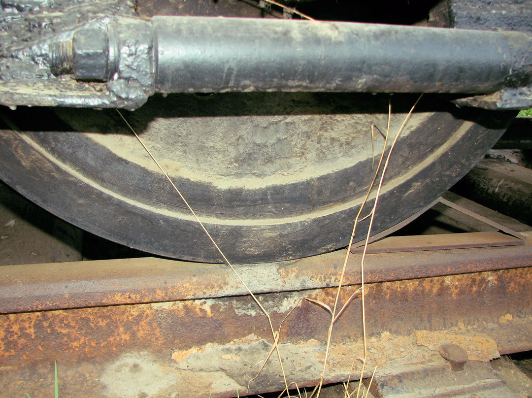 Museum of History of Tram and Trolleybus Management景点图片