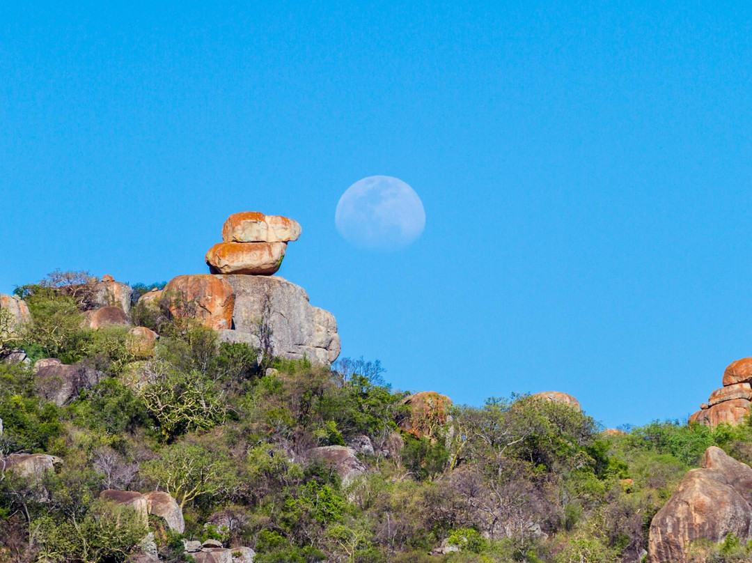 African Wanderer Safaris景点图片