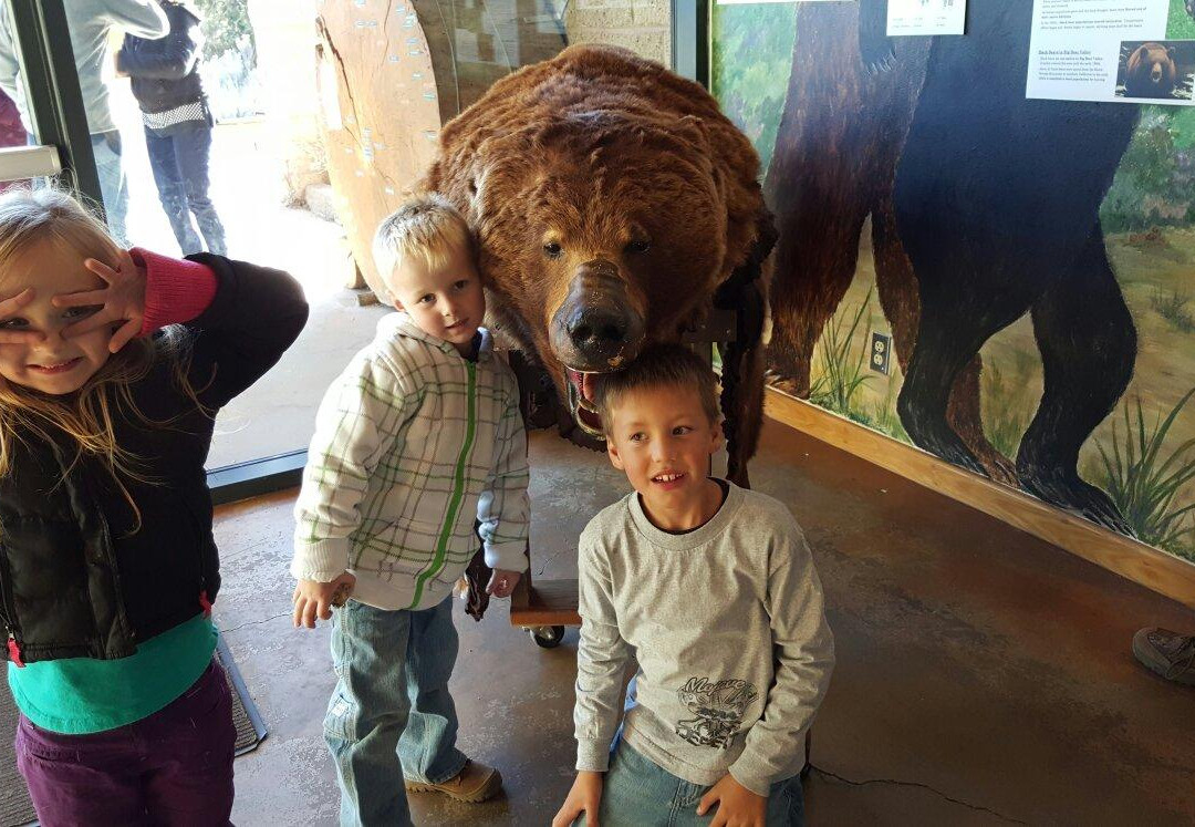 大熊湖-大熊湖必去景点