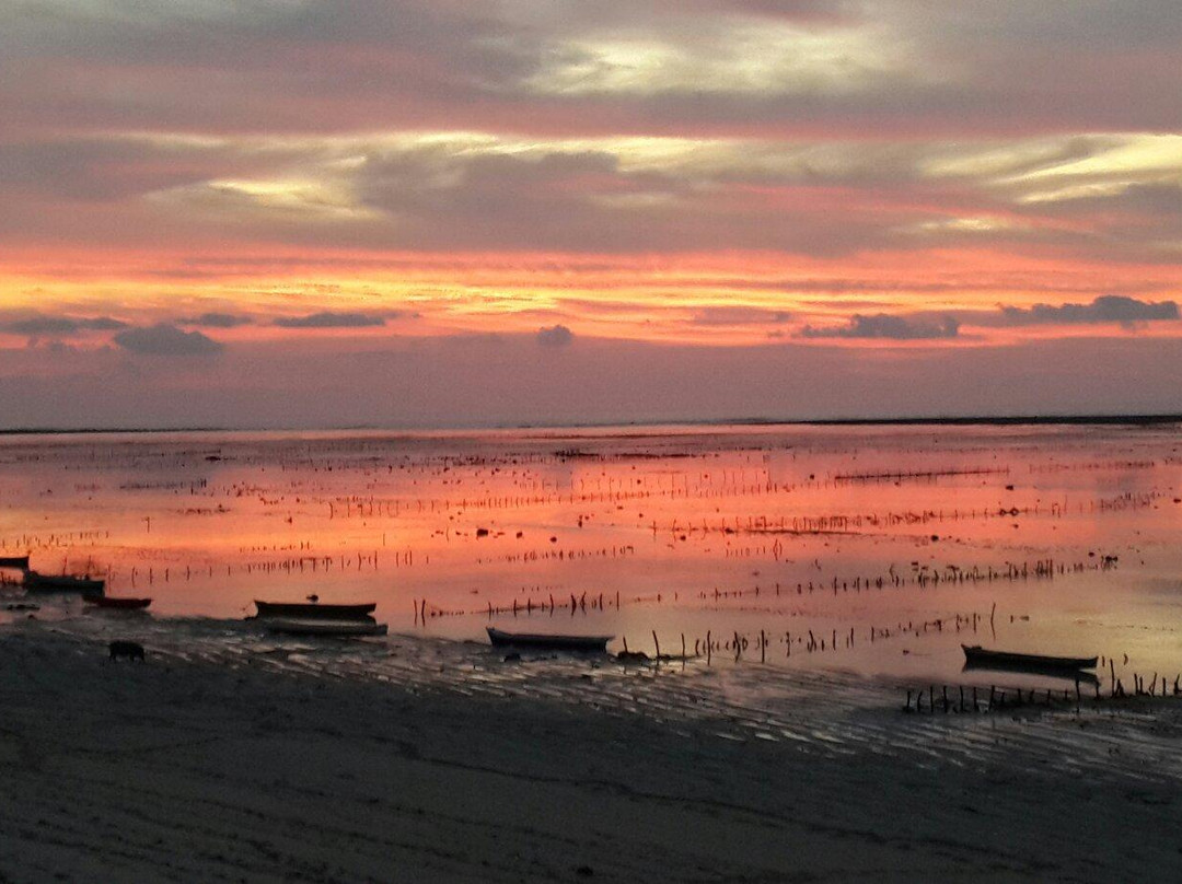 Nemberala Beach景点图片