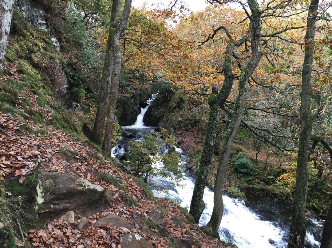 Nantcol Waterfalls景点图片