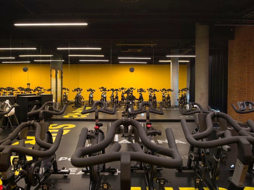 Formownia Fitness Gym Club景点图片