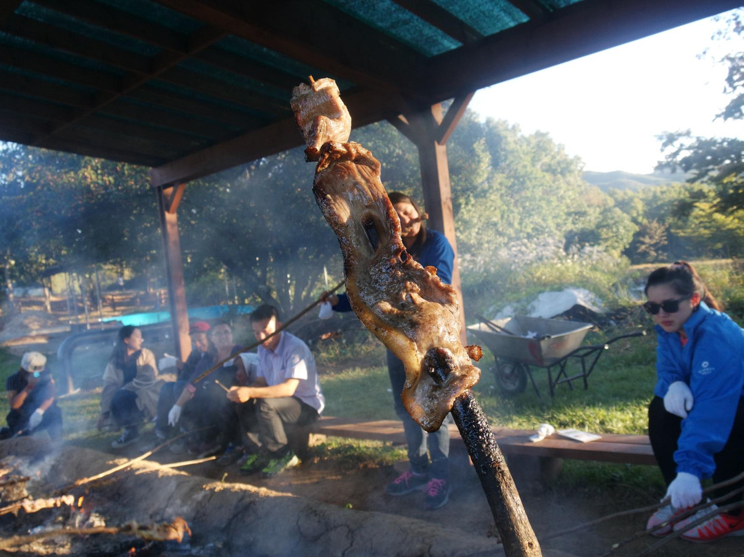 Jeongok-ri Prehistoric Site-涟川郡必去景点