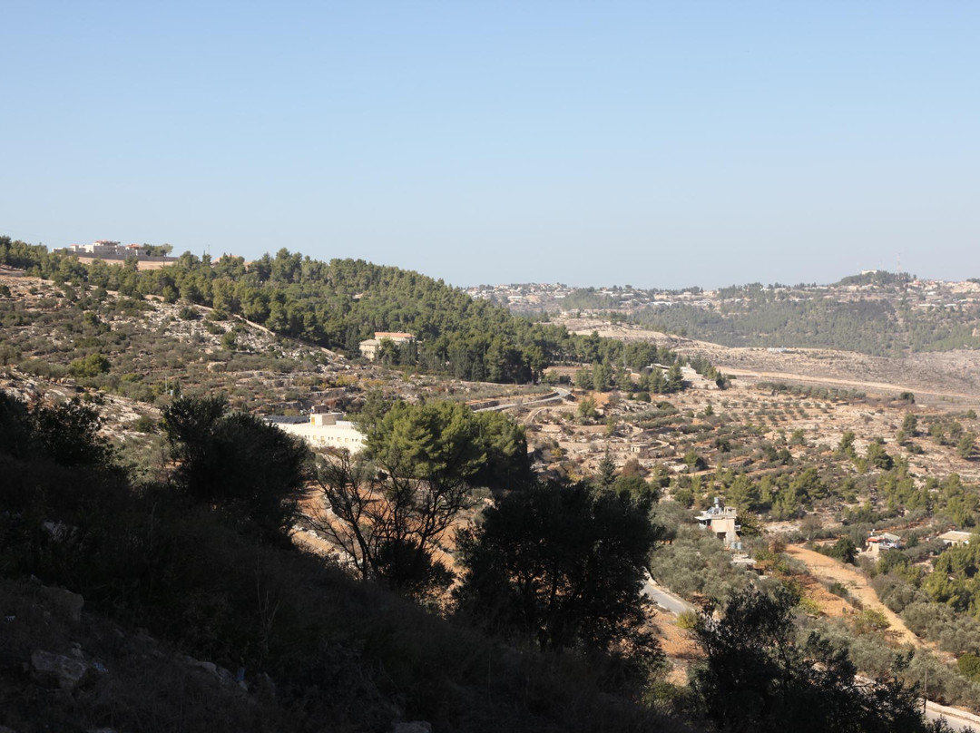 St. Nicolas Hotel主图