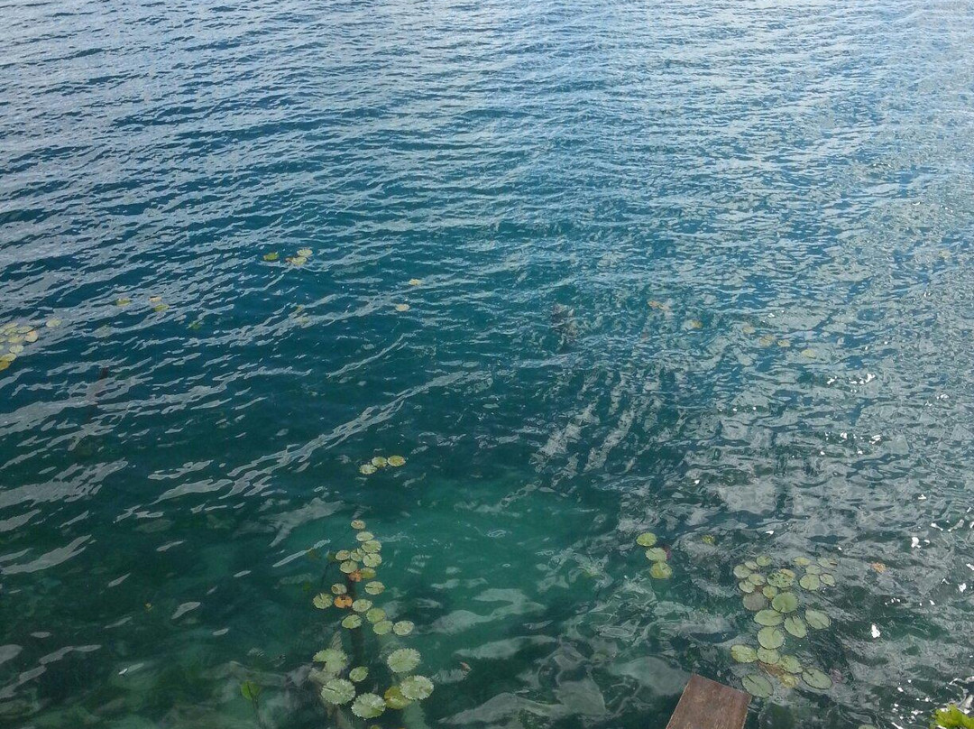 Stromatolites in Bacalar Rapids-Bacalar必去景点