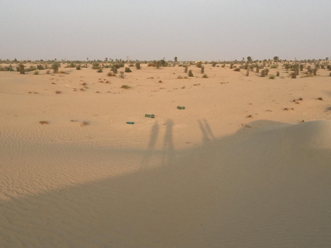 Al Qudra Lake-迪拜必去景点