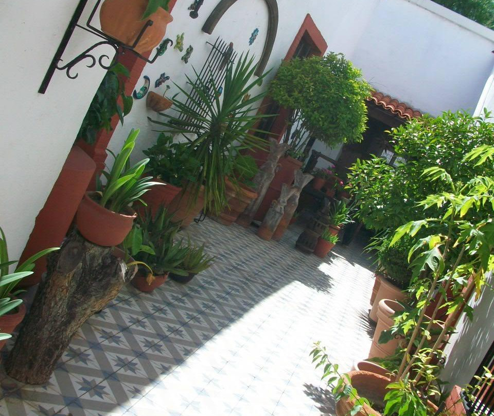 El Sarape de Saltillo-萨尔蒂必去景点