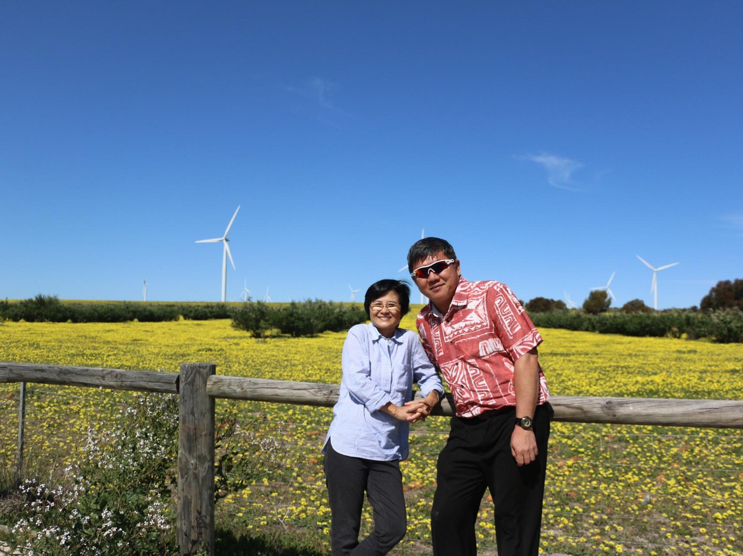Emu Downs Wind Farm景点图片