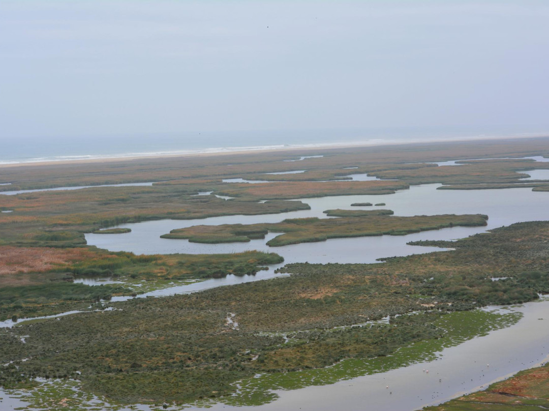 El Museo del Desierto y el Mar - El museo de ITE-塔克纳必去景点