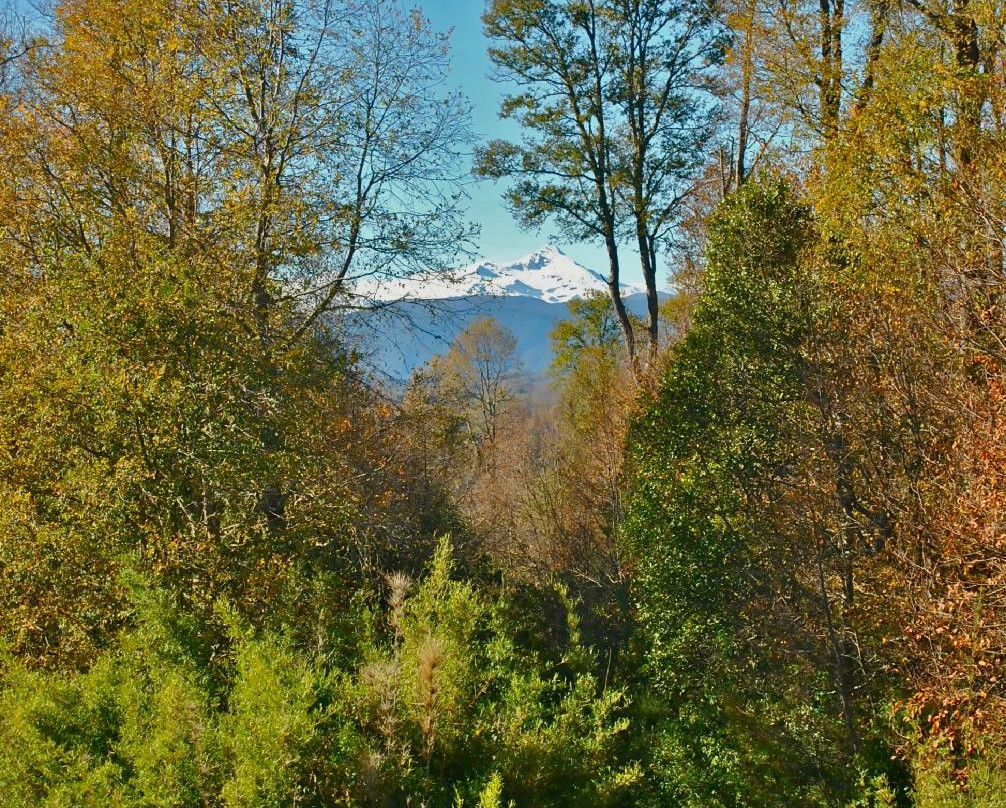 Corral del Sauce-维多利亚必去景点