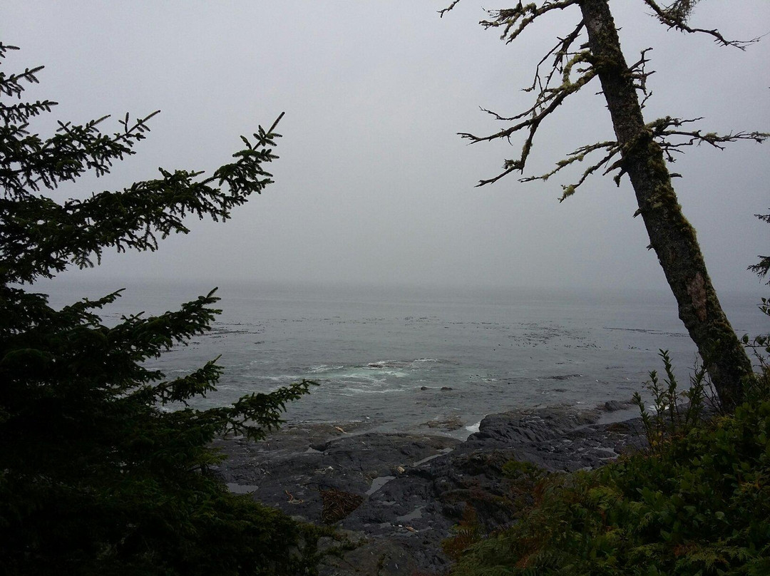 Botanical Beach Provincial Park景点图片