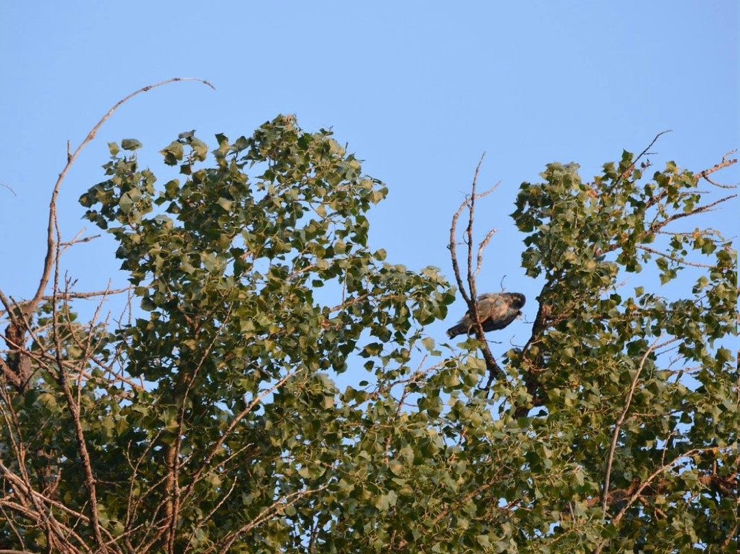 Sulphur Gulch Trail-帕克必去景点