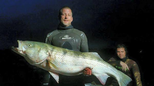 Watch Hill Outfitters-韦斯特利必去景点