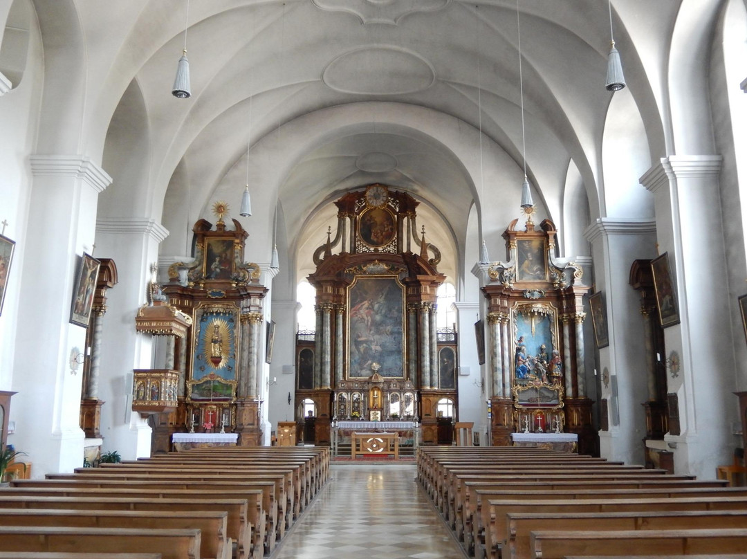 Franziskanerkirche景点图片