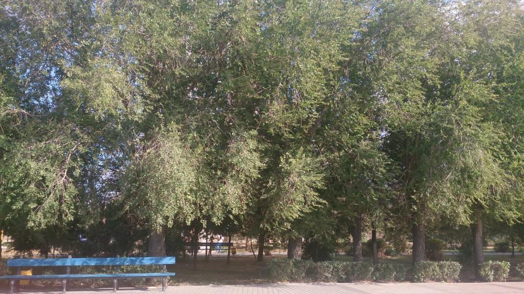 Krasnoarmeyskiy District Embankment景点图片