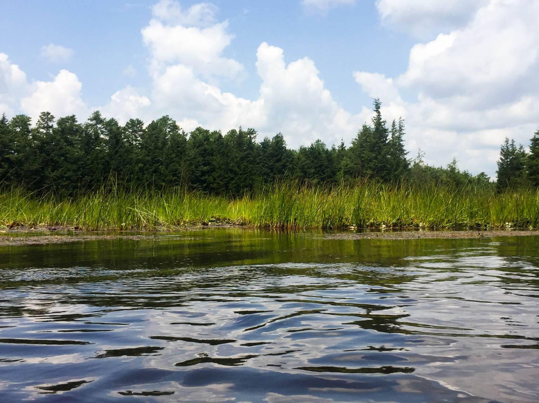 Pinelands Adventures景点图片