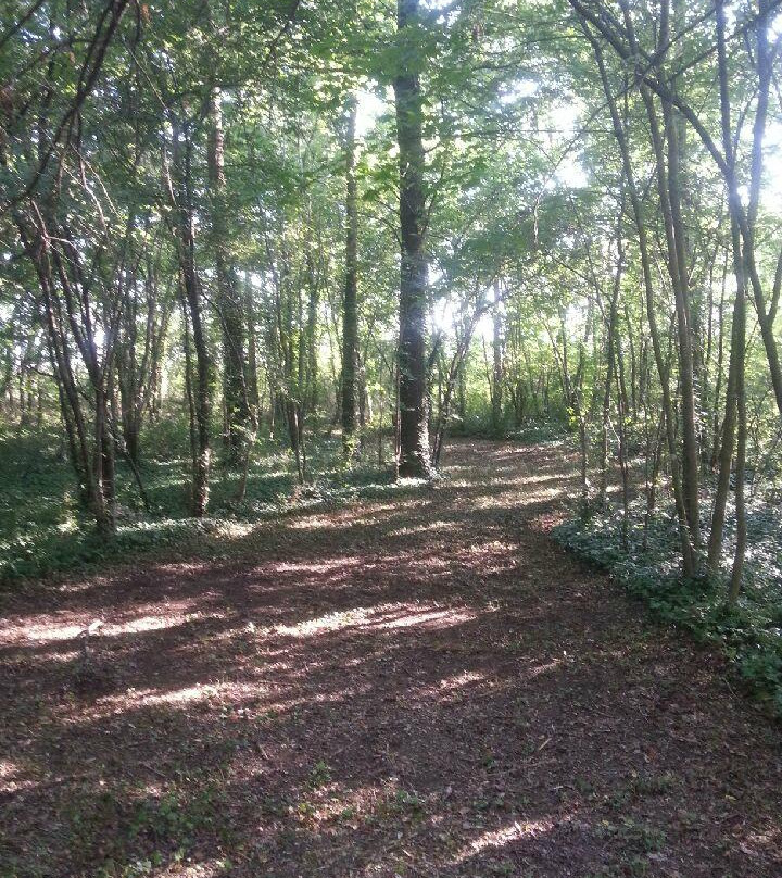 Domaine De La Sérita主图