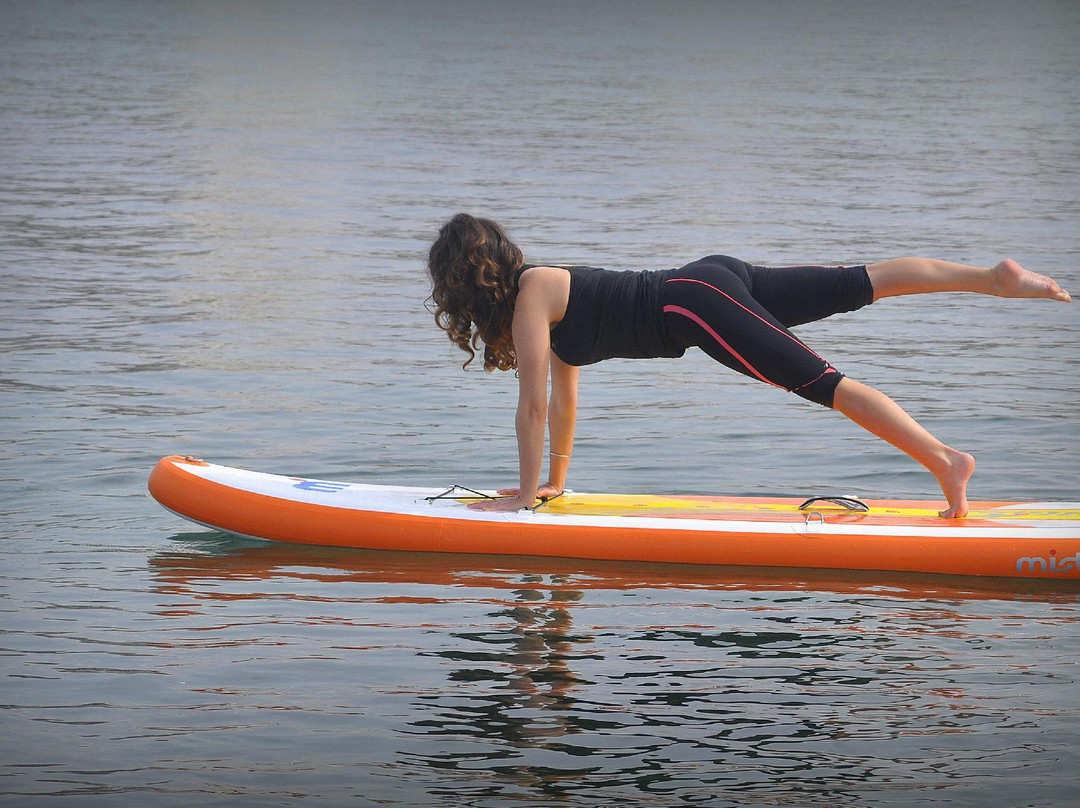 La Mosca Club de Surf-马洛卡帕尔马必去景点