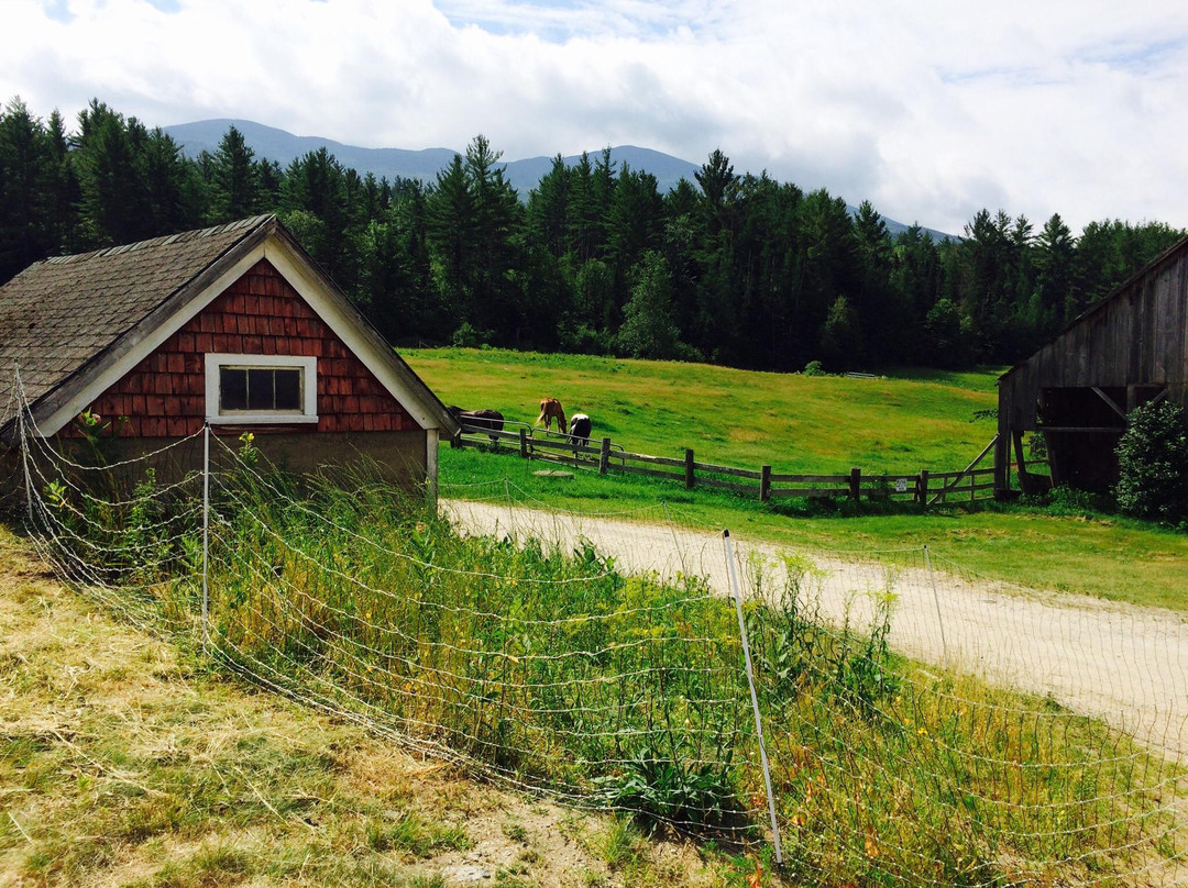 Pinestead Farm Lodge