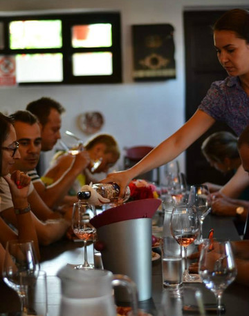 Rotenberg Winery-Ceptura必去景点