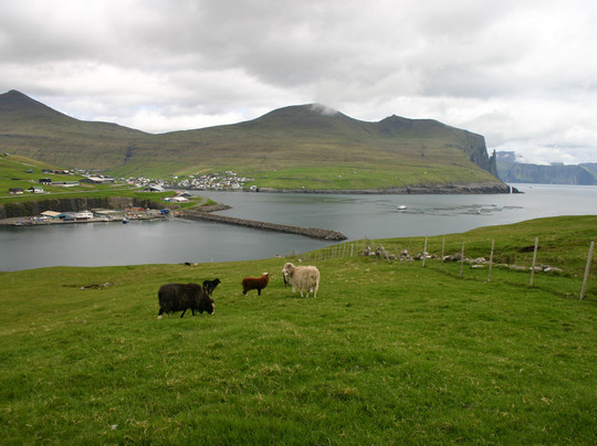 Sandavagur Church-Sandavagur必去景点