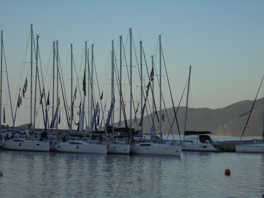 Eucalyptus Bar-Leonidio必去景点