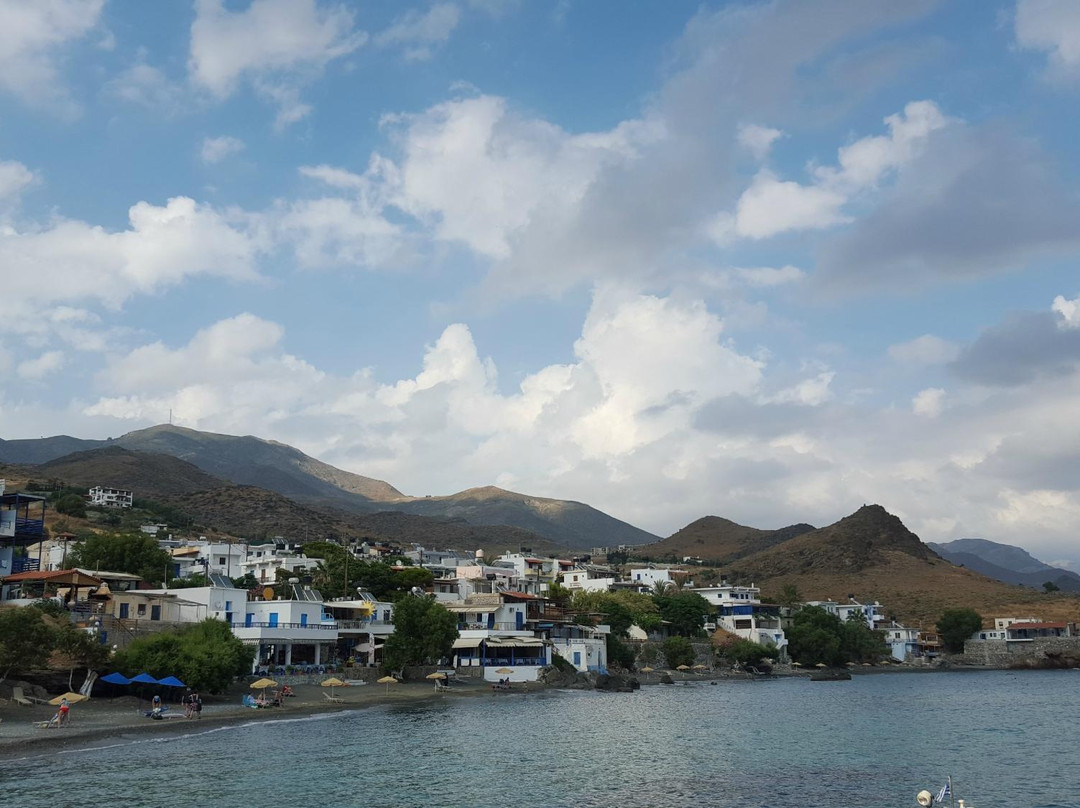 Lentas餐馆和美食-Blue Cafe