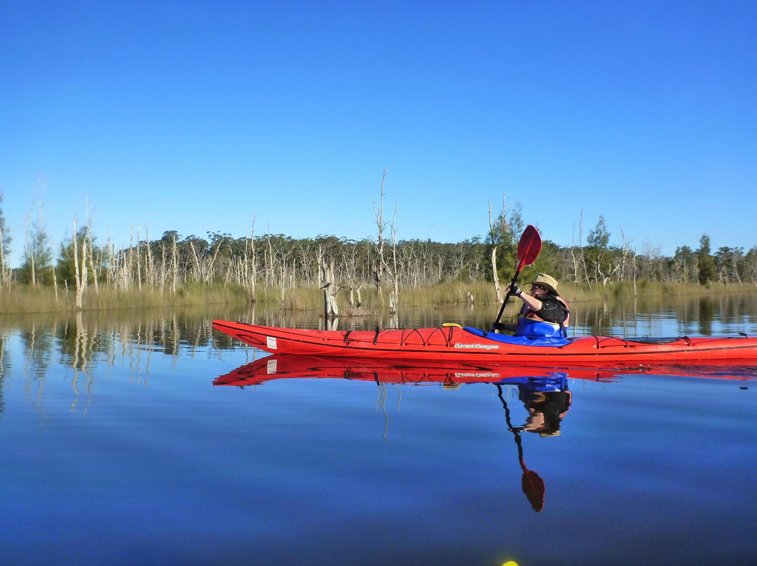 Bay and Beyond Sea Kayak Tours景点图片
