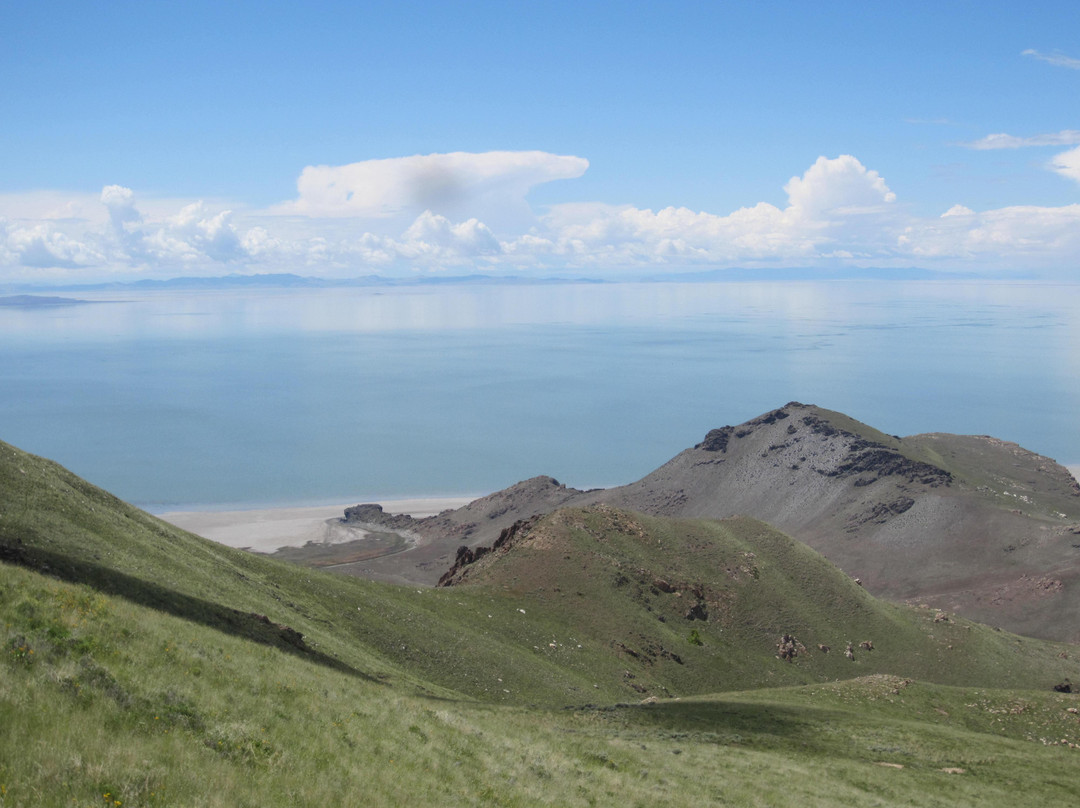 Frary Peak Trail景点图片