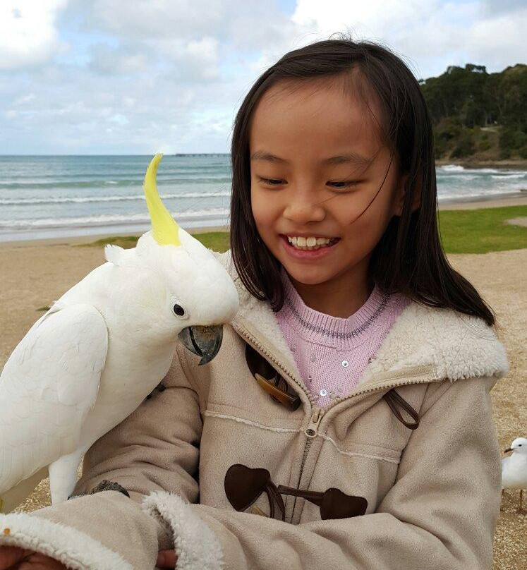 大洋路-阿波罗湾必去景点