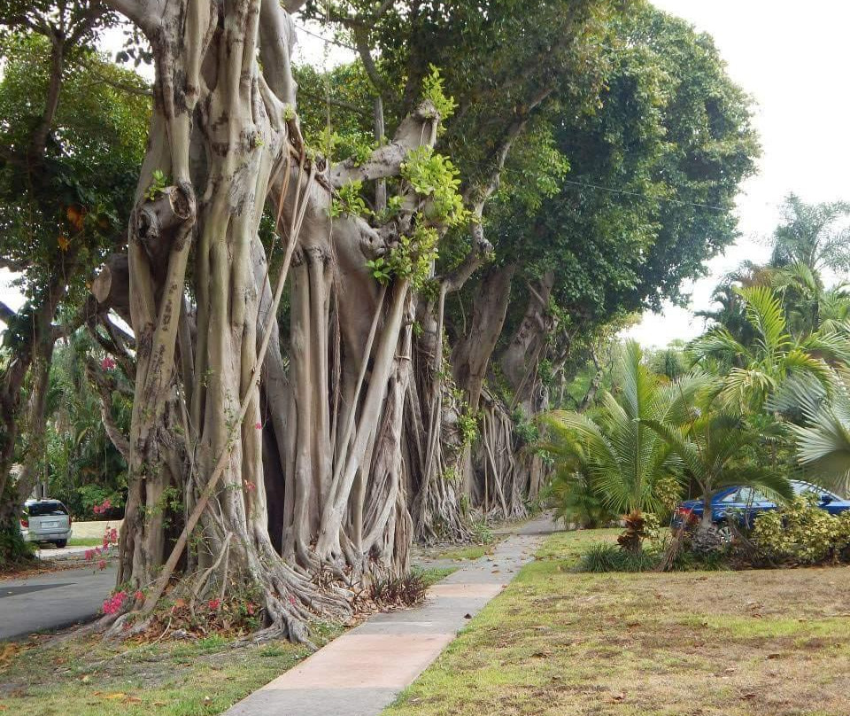 Coral Gables Merrick House and Gardens景点图片