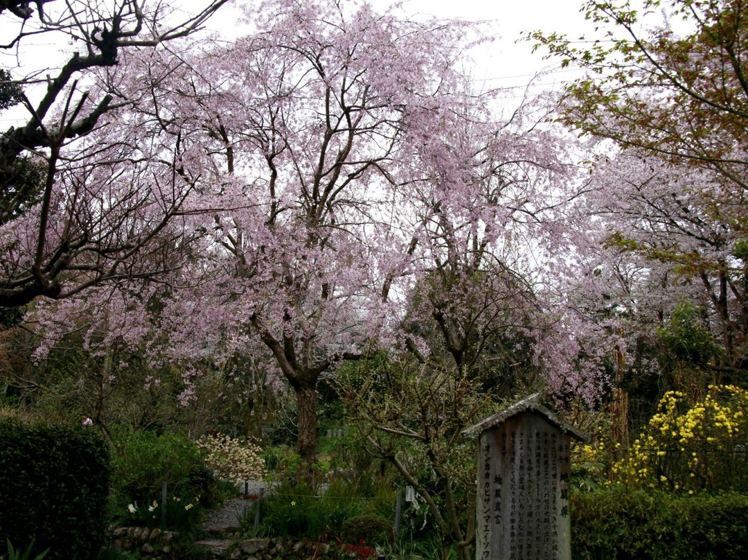 Eshin-in Temple-宇治市必去景点