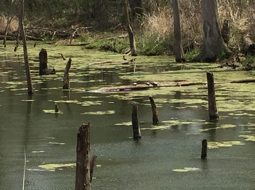 Shawnee Prairie Preserve-Greenville必去景点
