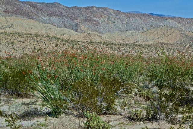 Coyote Canyon-波瑞戈泉必去景点