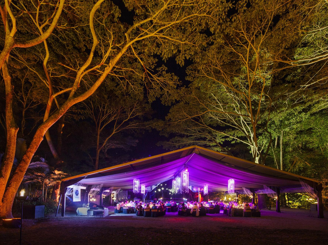 Oak Beach旅游景点-Flames of the Forest