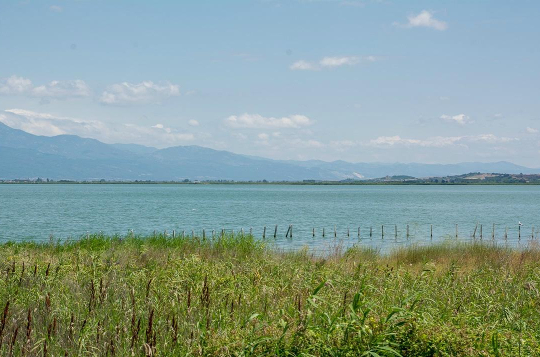 Vistonida Lake景点图片