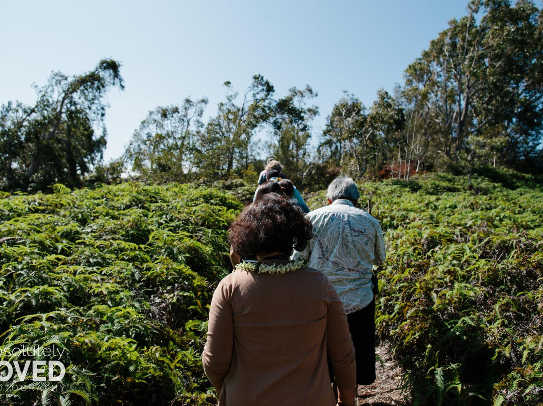 Sunset Ranch-哈雷瓦必去景点