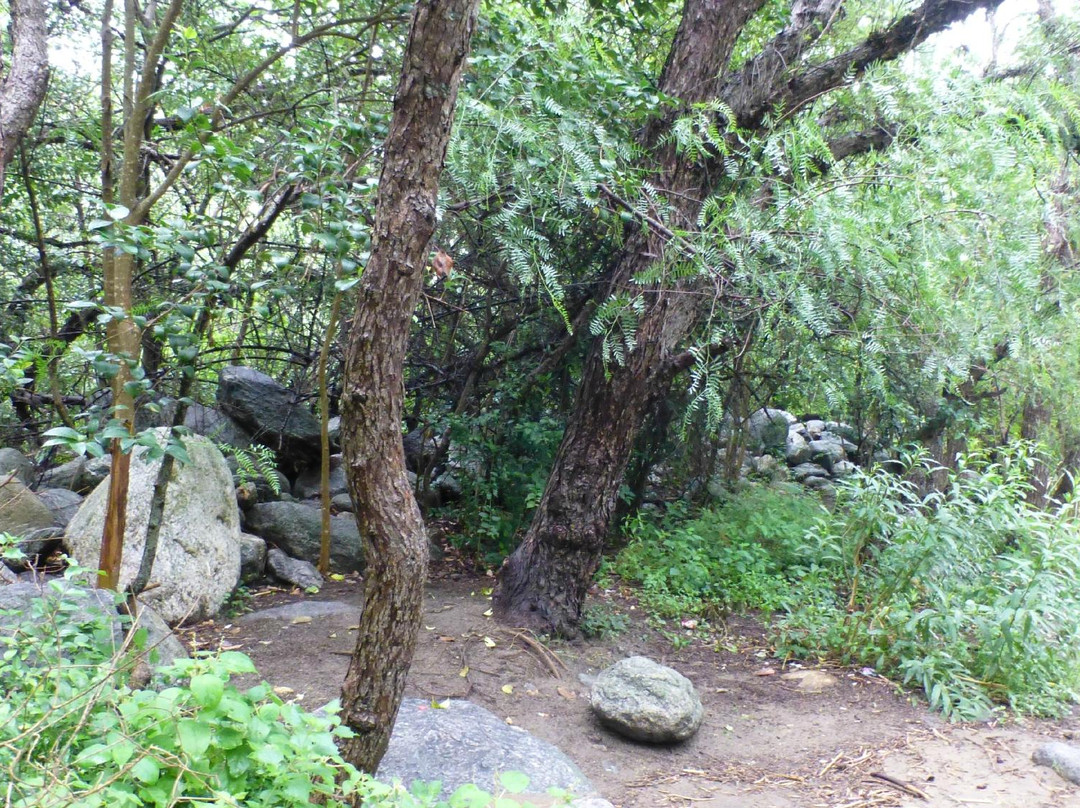 Altar Comechingon-梅洛必去景点