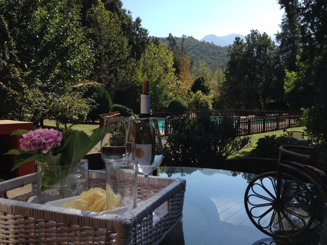 Los Quenes酒店住宿-Tumuñan Lodge