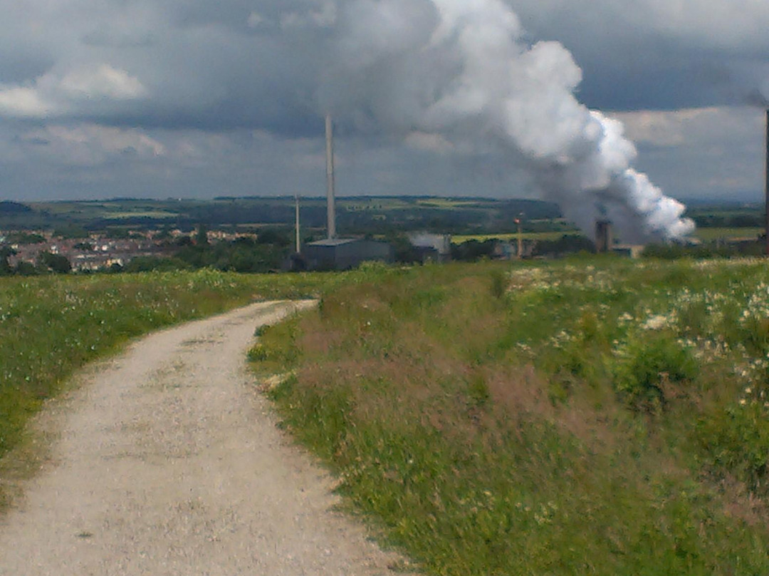 Rabbit Ings Country Park-Royston必去景点