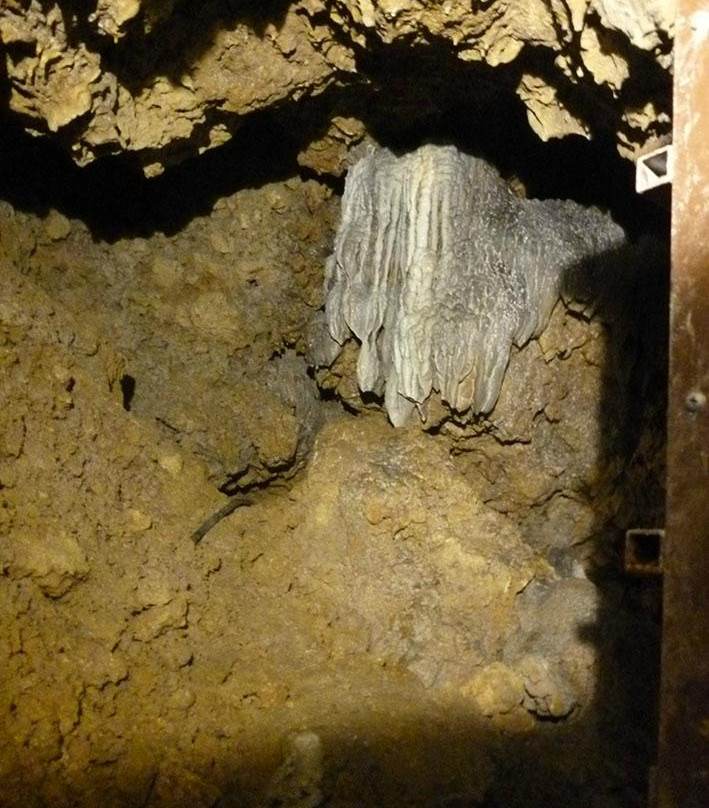Kin Limestone Cave Koshugura景点图片