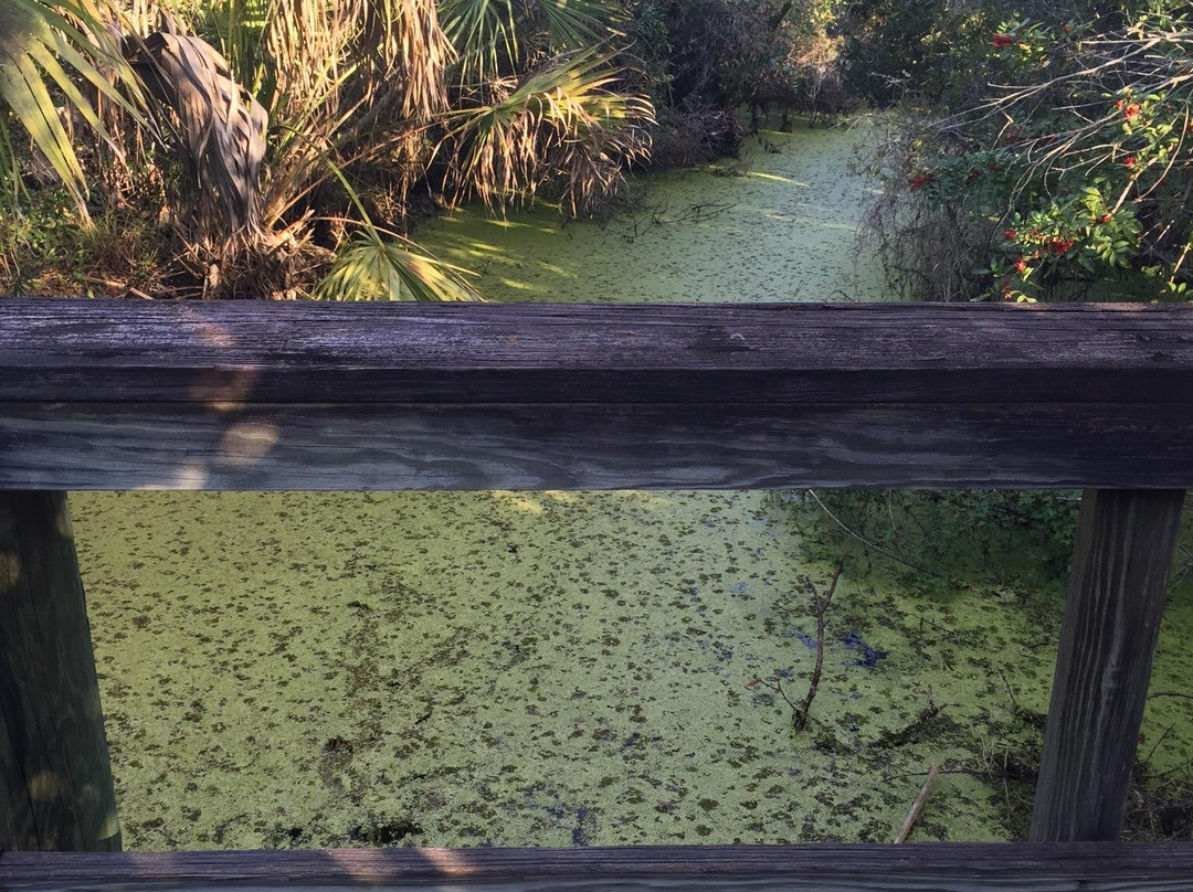 Charlotte Harbor Environmental Center-蓬塔戈尔达必去景点