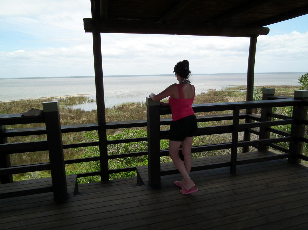 伊西曼格利索湿地公园-圣露西亚必去景点